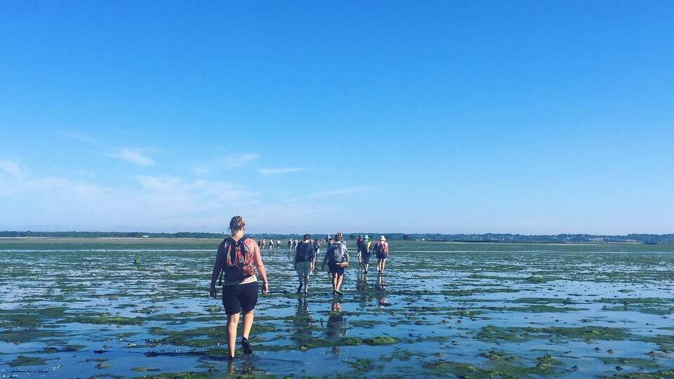 A group of people walking in shallow water with green algae.