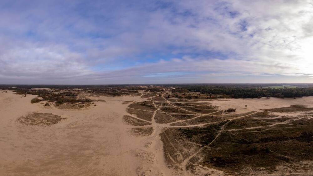 Super wide aerial panorama of Loonse en Drunense Duinen sand dunes in The Netherlands. Unique Dutch natural phenomenon of sandbank drift plain seen from above.