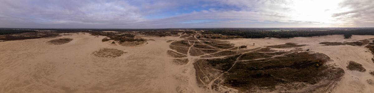 Super wide aerial panorama of Loonse en Drunense Duinen sand dunes in The Netherlands. Unique Dutch natural phenomenon of sandbank drift plain seen from above.