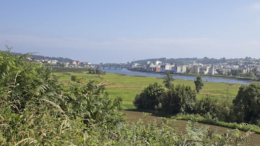 Navia