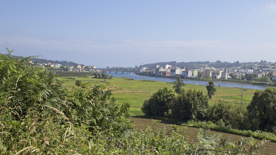 Navia