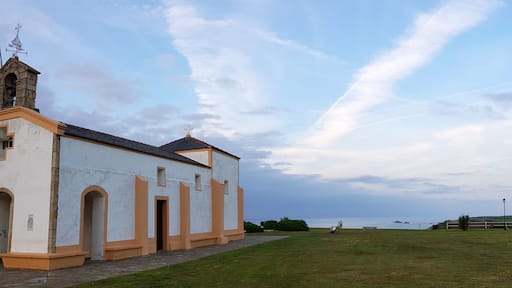 Navia
