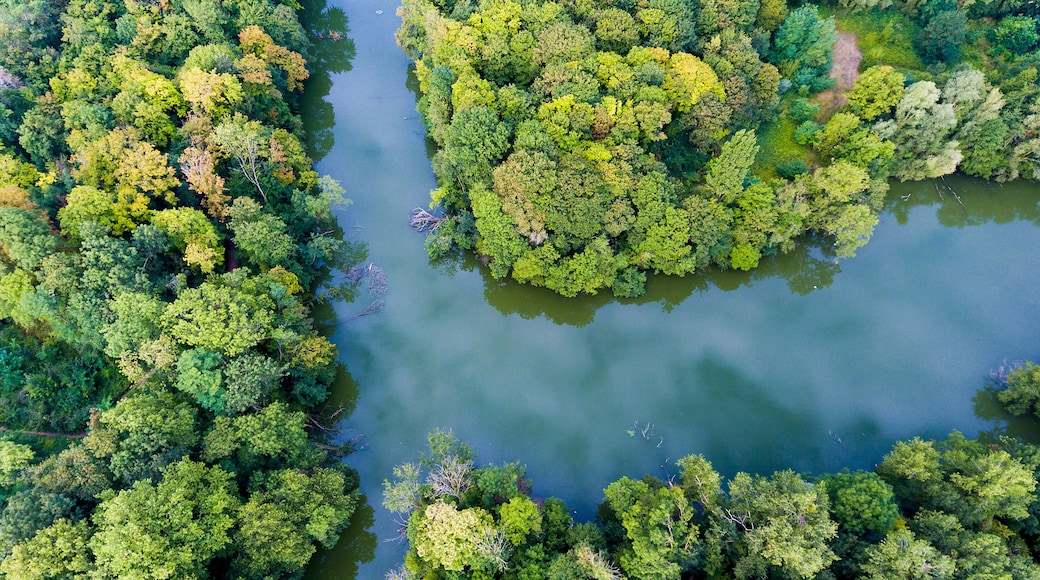 Park and lake in Draveil, Essonne, Ile-de-france, France