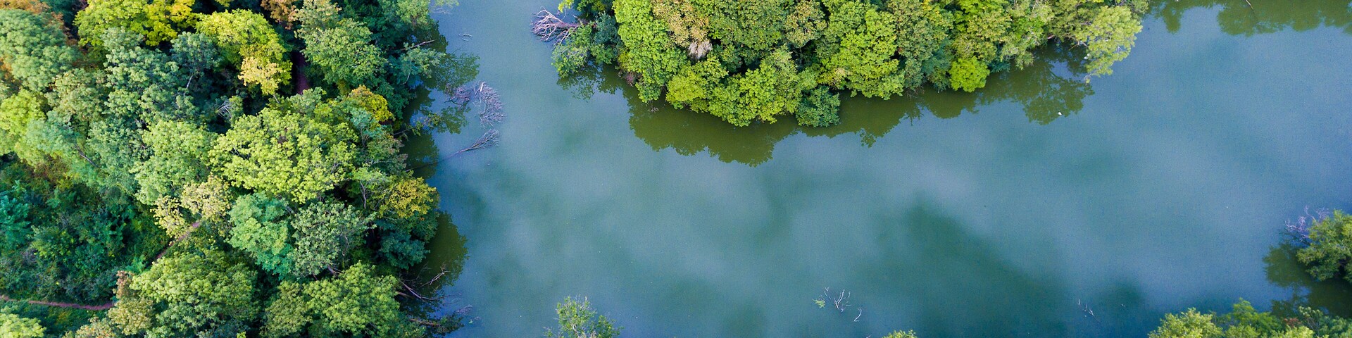 Park and lake in Draveil, Essonne, Ile-de-france, France
