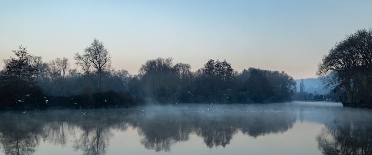 A calm river with trees reflecting on the water, surrounded by a misty landscape.