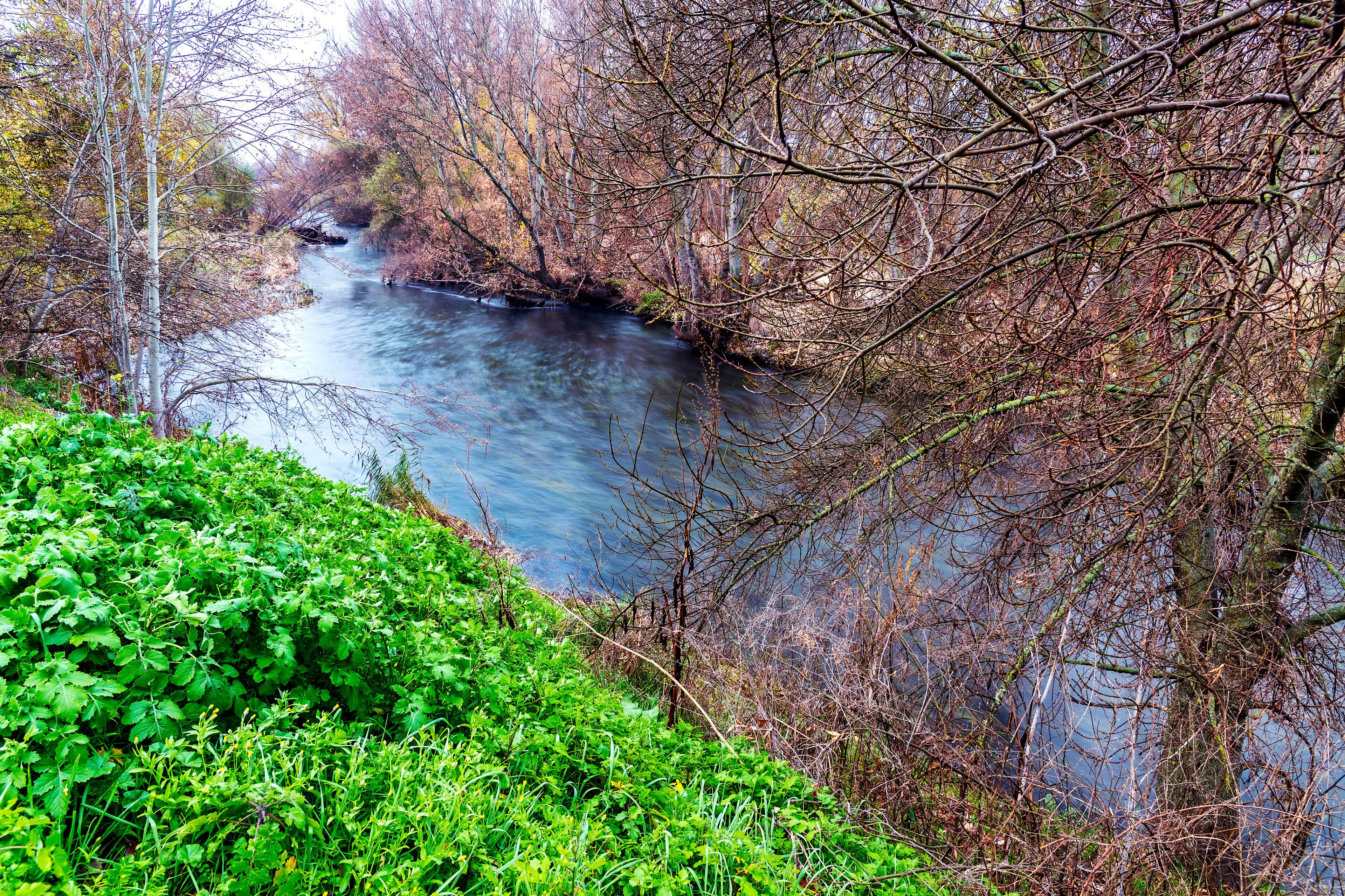 Fall on river Jarama at Southeast Regional Park. Velilla de San Antonio.  Madrid. Spain. Europe.