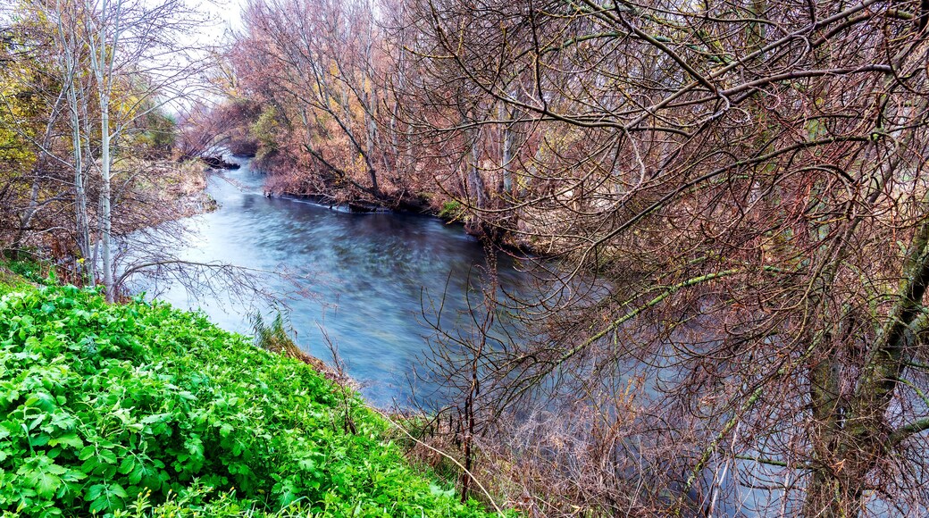 Fall on river Jarama at Southeast Regional Park. Velilla de San Antonio. Madrid. Spain. Europe.