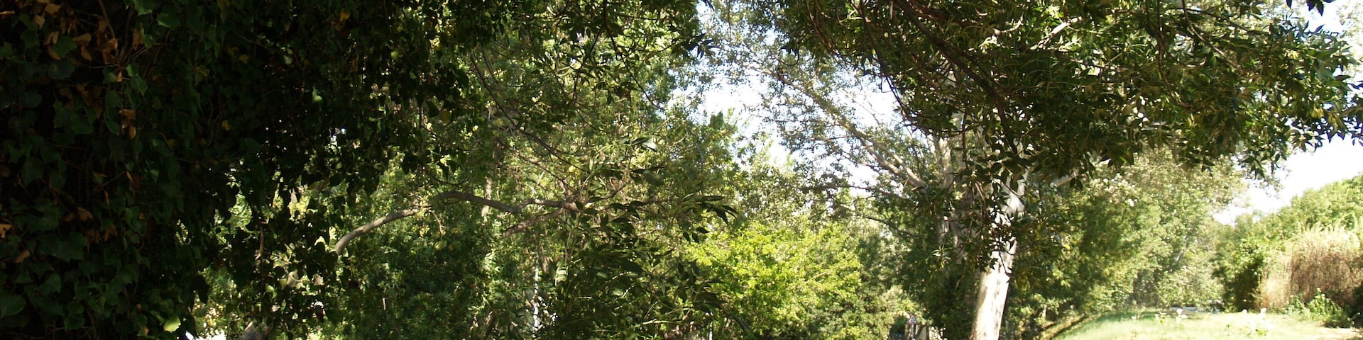 Chemin dans Saint-Martin-de-Crau.