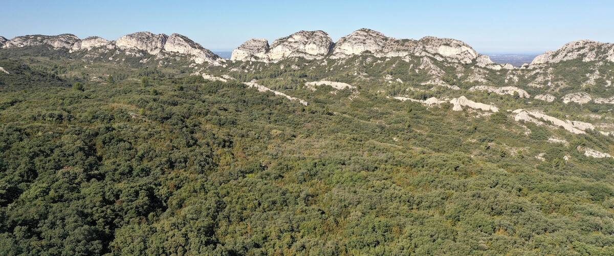 A mountainous landscape with dense green forests and rugged rocky outcrops.