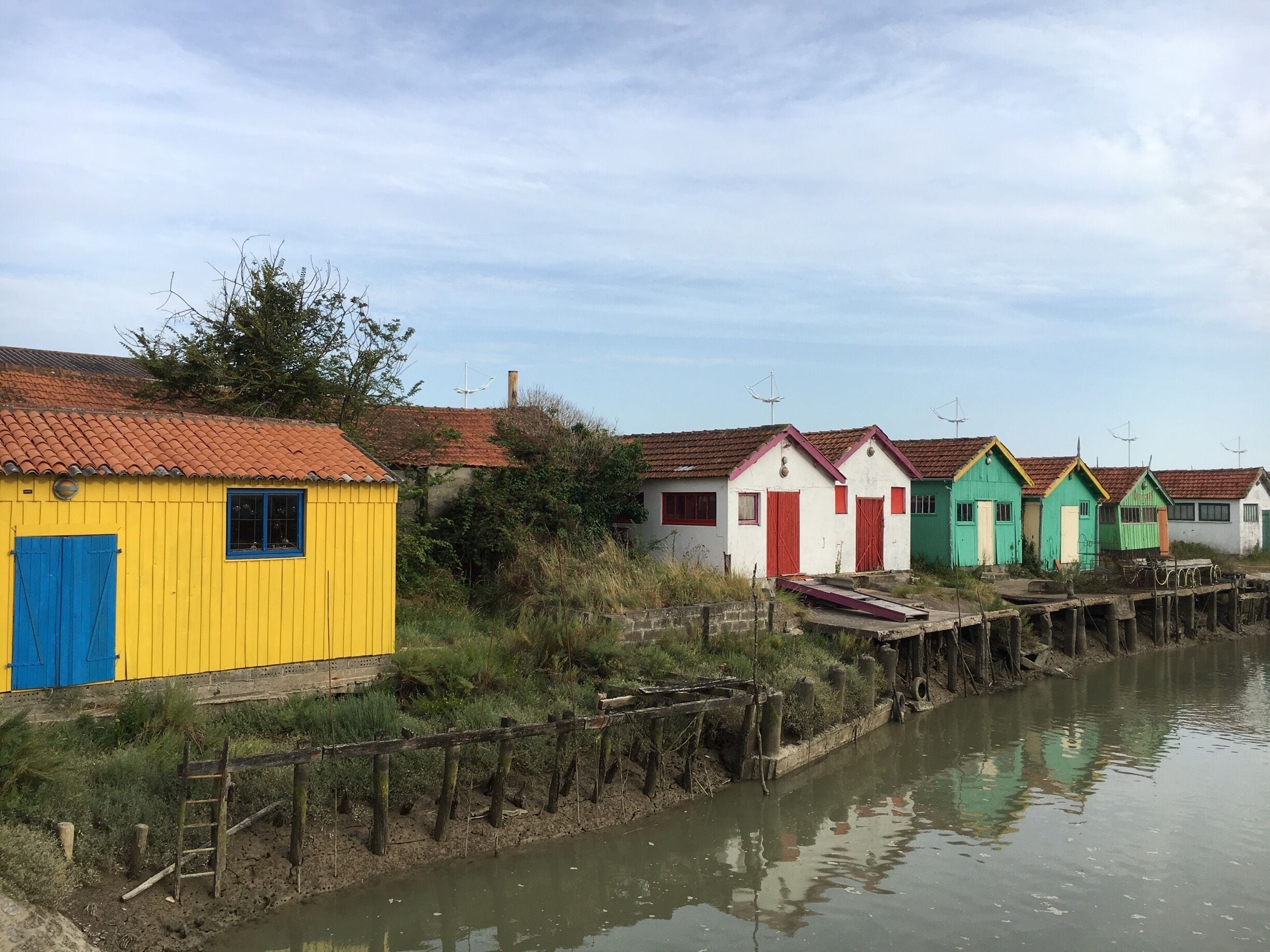 Come on and eat oyester