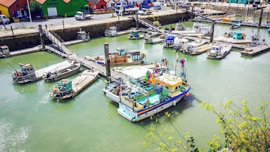 view of the port at ile d'Oléron (island of Oléron) in France