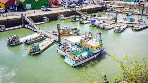 view of the port at ile d'Oléron (island of Oléron) in France