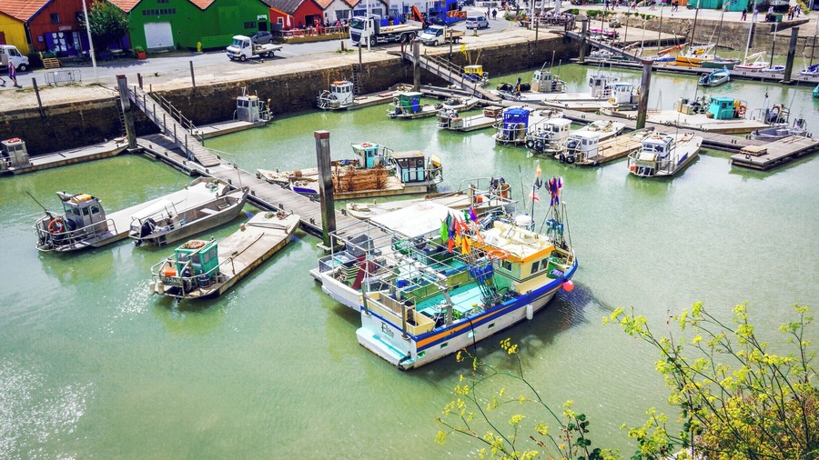 view of the port at ile d'Oléron (island of Oléron) in France