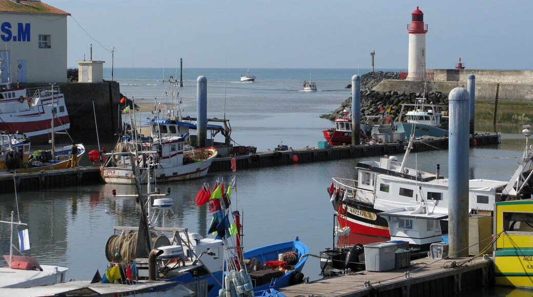 One of the best kept secrets outside France - the island of Oléron has it all: beauty, the best oysters in France, seafood fresh from the bay, local red and white wine of quality, island bred beef and friendly people. La Cotinière is a wonderful place to stay.
Oléron is just south of La Rochelle.