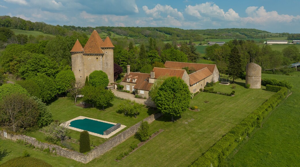 Aerial view of the Pancy castle in Angely Burgundy France with central keep protected by two circular towers, large outbuildings create a U-shaped wind around the courtyard standalone circular tower