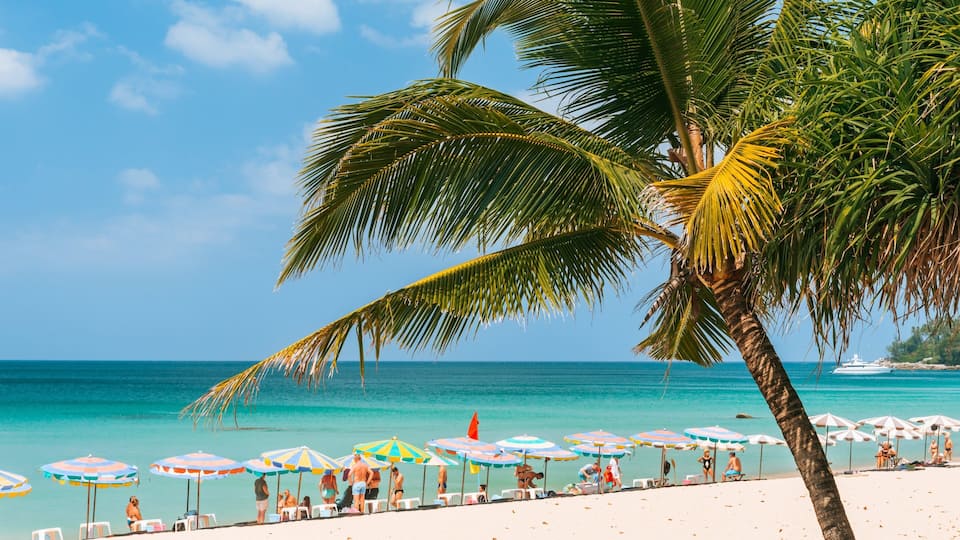 A beach with palm trees, umbrellas, and people.