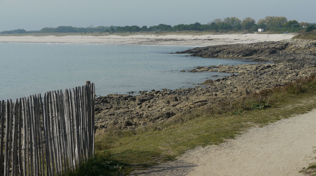 29120 Combrit, France