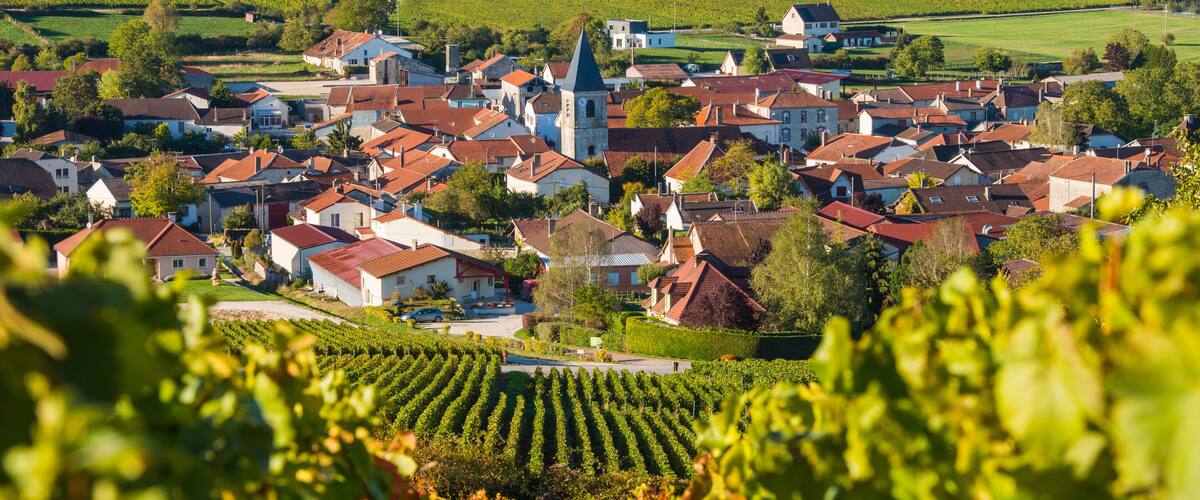 A town with red-roofed houses, a church with a tall steeple, and vineyards in the foreground.
