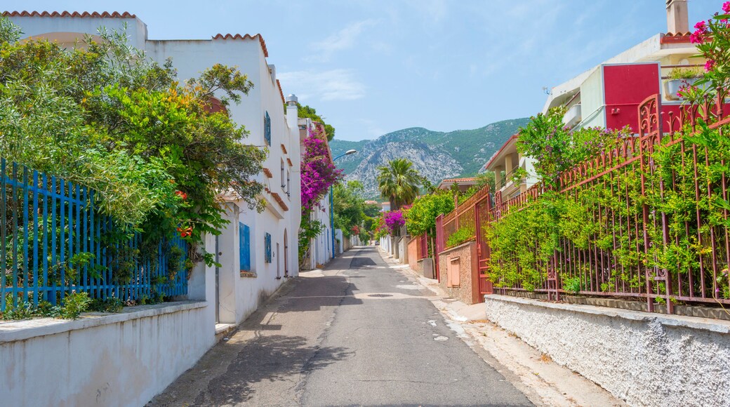 Harbor and houses of the town of Cala Gonone in Sardinia in sunlight in spring