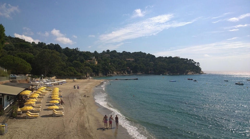 Rayol-Canadel-sur-Mer, France