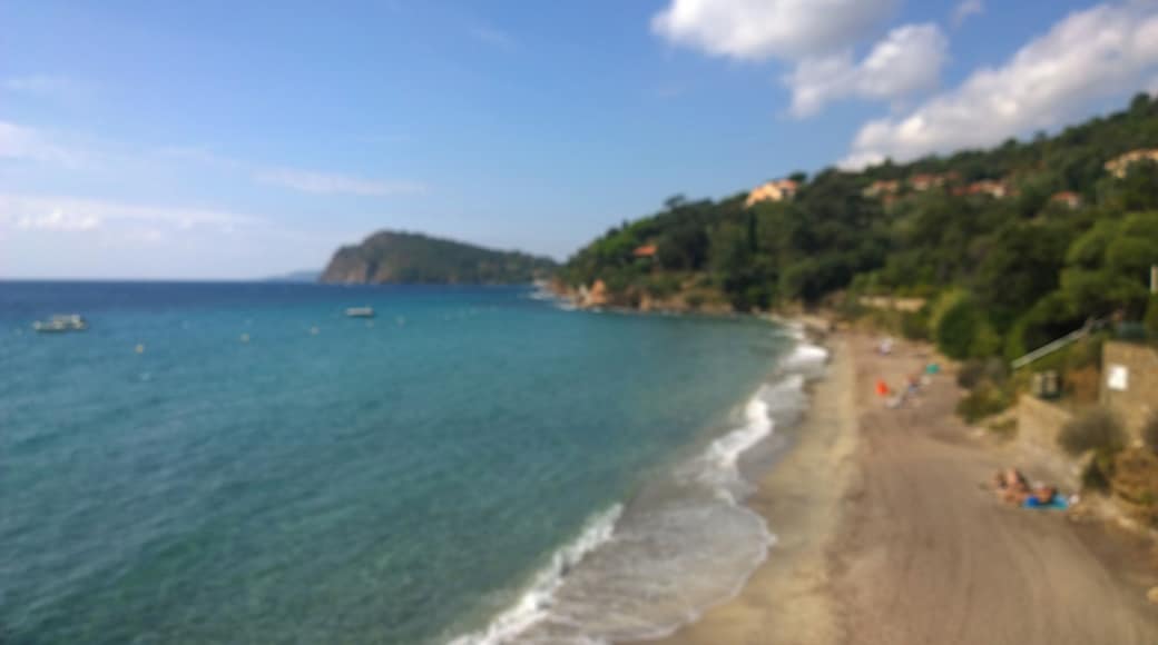 Rayol-Canadel-sur-Mer, France