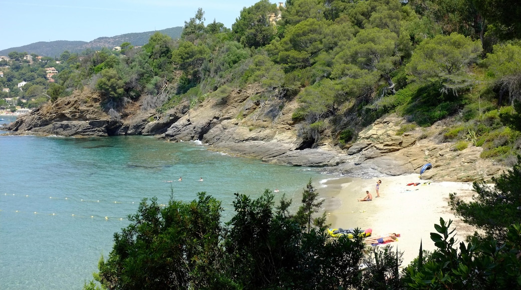 JMGFCX Les Jardin des Mediterranees, South of France
