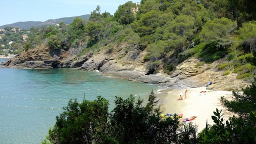 Rayol-Canadel-sur-Mer