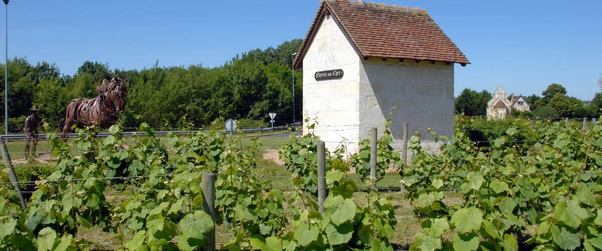 A white building with a sign reading "Pipers at Gaiety," surrounded by grapevines and a large horse statue.