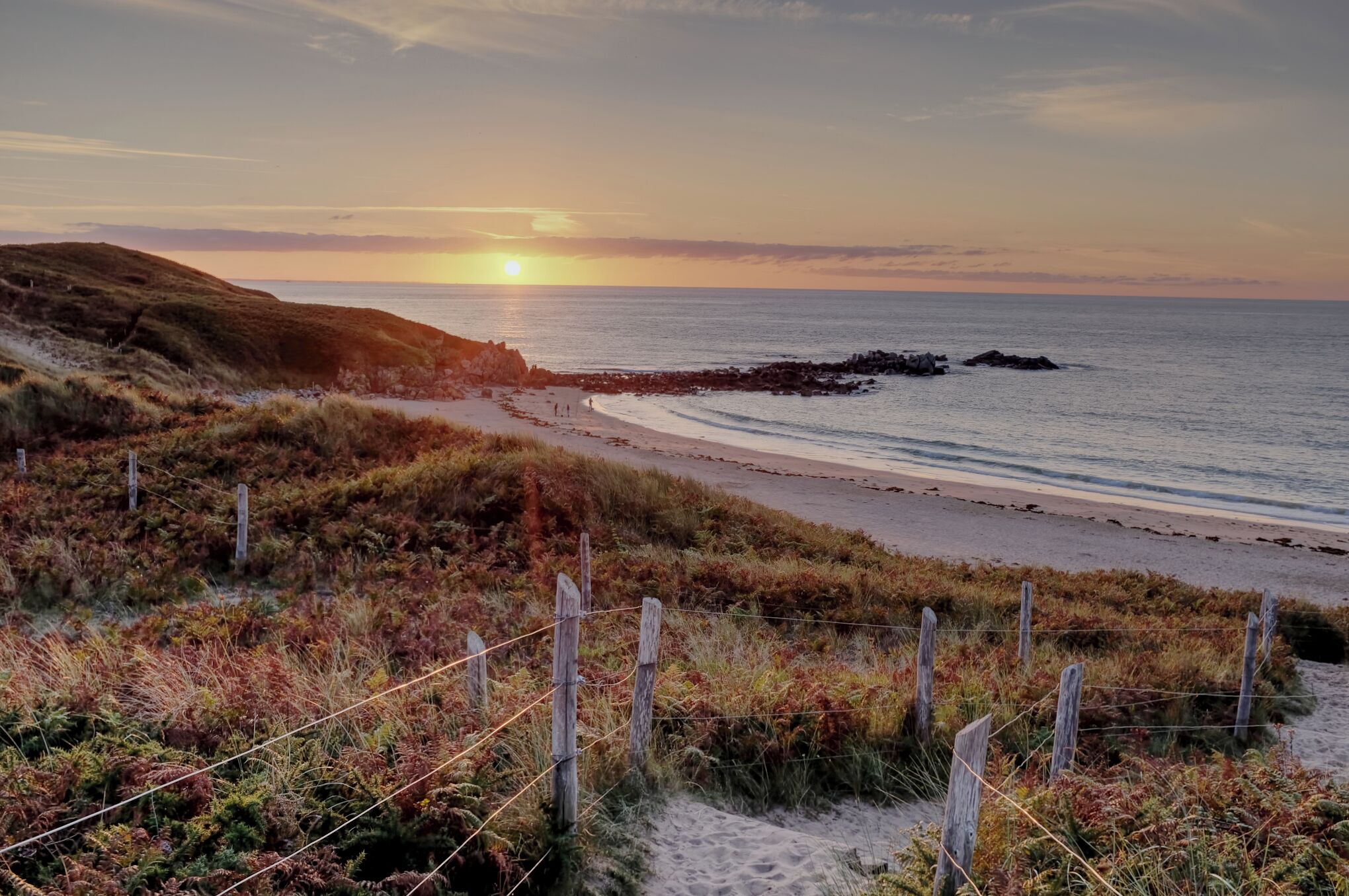 an evening stroll in the summer