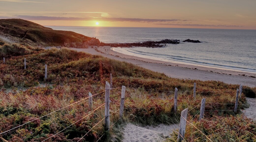 an evening stroll in the summer