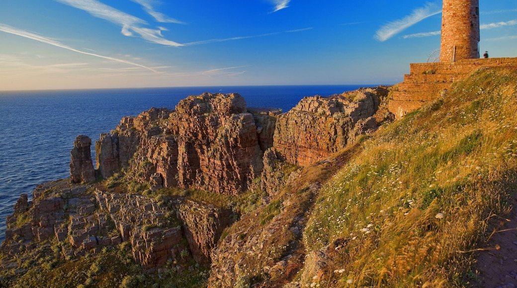 Bretagne,22,cap Frehel : falaises au crépuscule