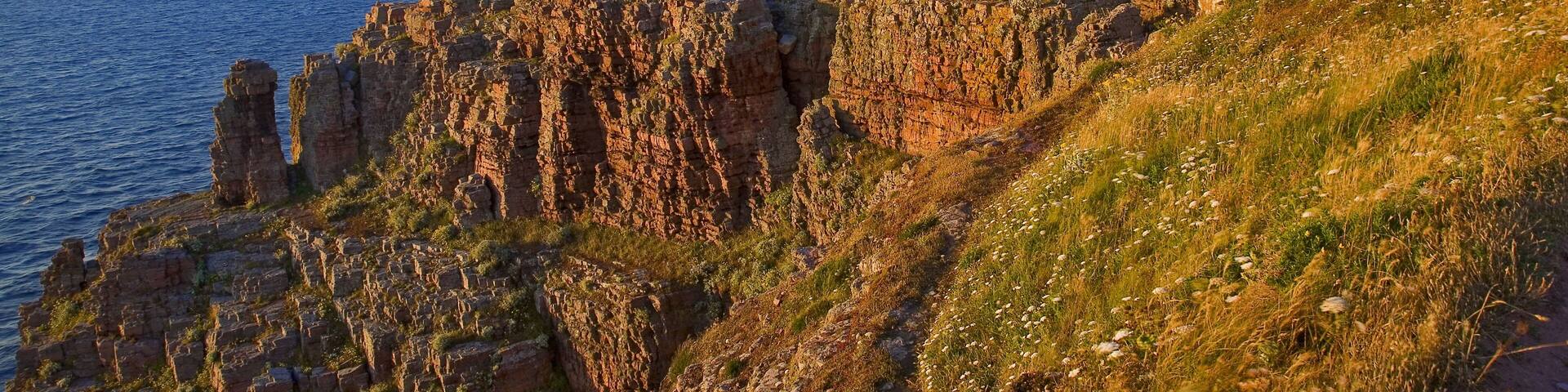 Bretagne,22,cap Frehel : falaises au crépuscule