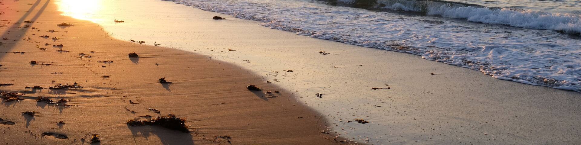 Evening stroll in the summer