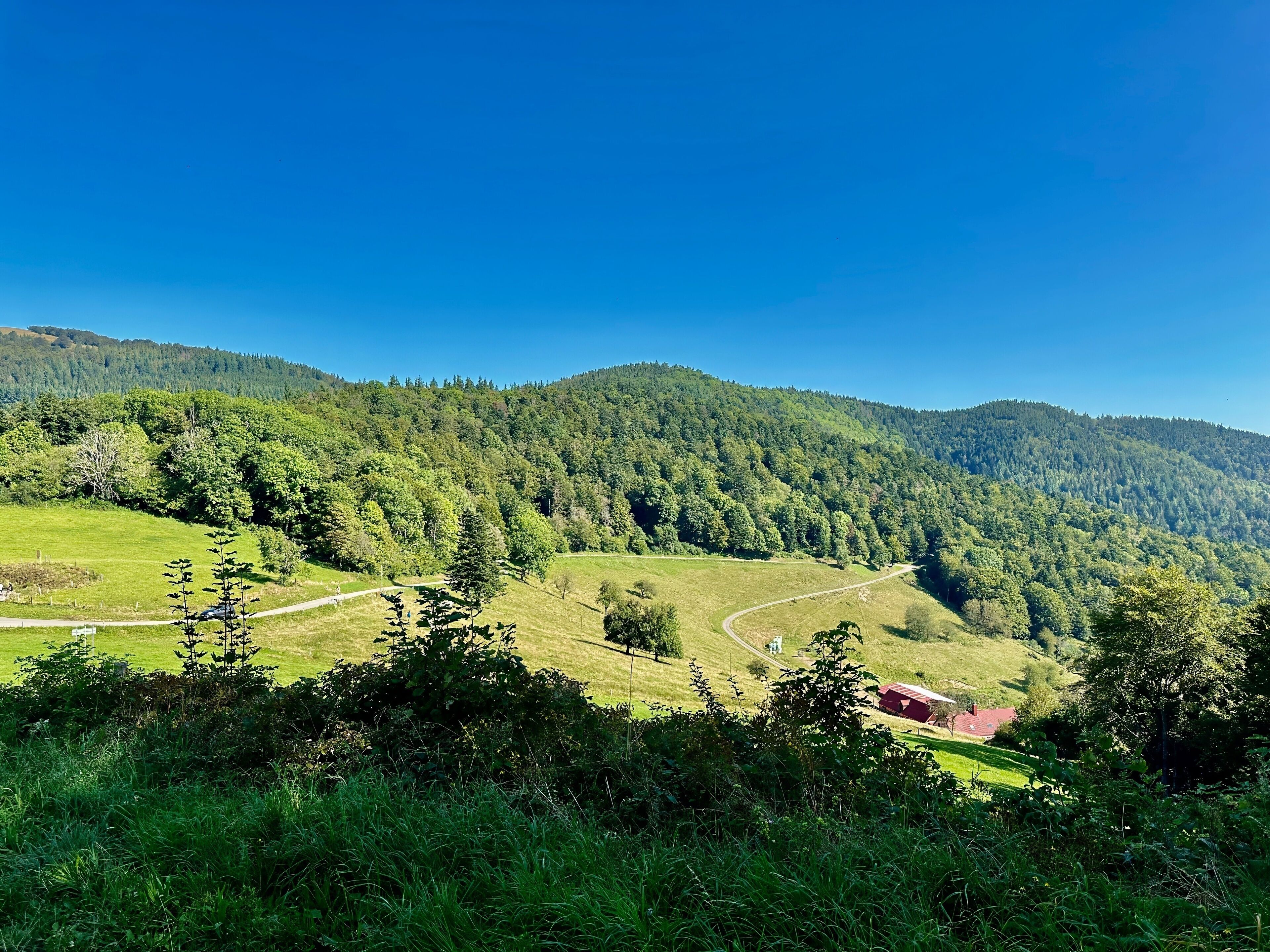 A lush green valley with a winding road, dense forested hills, and a small red building in the foreground.