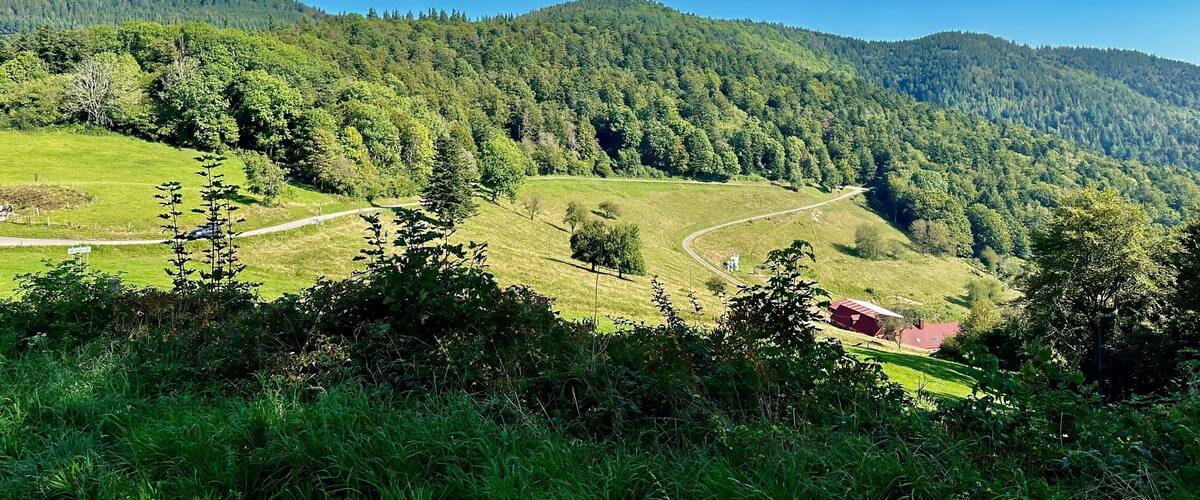 A lush green valley with a winding road, dense forested hills, and a small red building in the foreground.