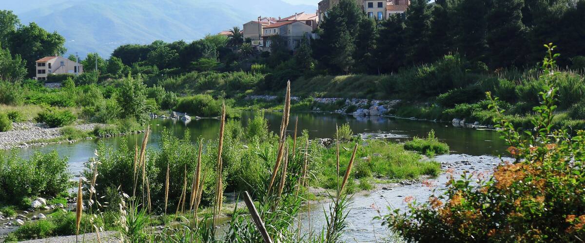 A river with surrounding greenery and a mountainous backdrop.