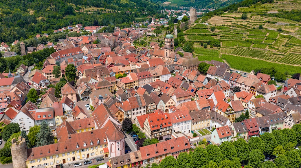 Kaysersberg Vignoble