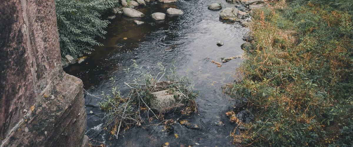I think @disney found some inspiration in this lovely french town. Beautiful traditional houses in a cosy colorful setting.
#france #troveon #kaysersberg #town
Make sure you follow me on:
https://www.facebook.com/ShotByCanipel/
https://www.instagram.com/canipel/