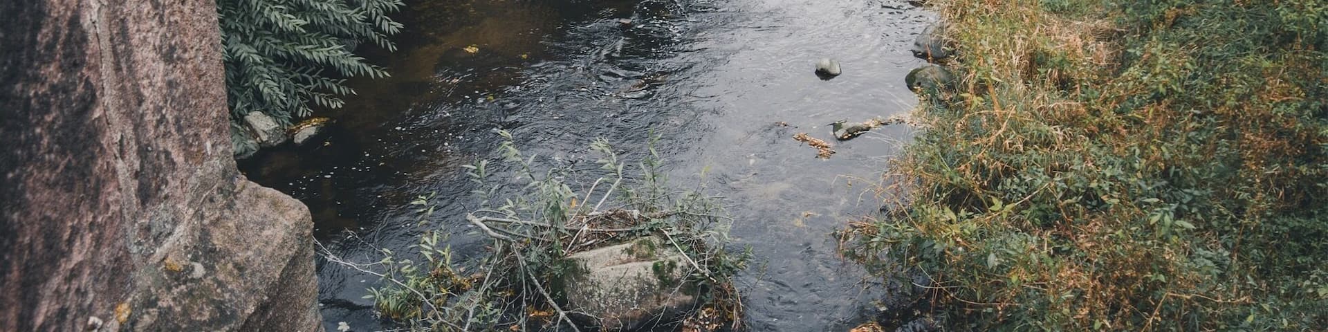 I think @disney found some inspiration in this lovely french town. Beautiful traditional houses in a cosy colorful setting.
#france #troveon #kaysersberg #town
Make sure you follow me on:
https://www.facebook.com/ShotByCanipel/
https://www.instagram.com/canipel/