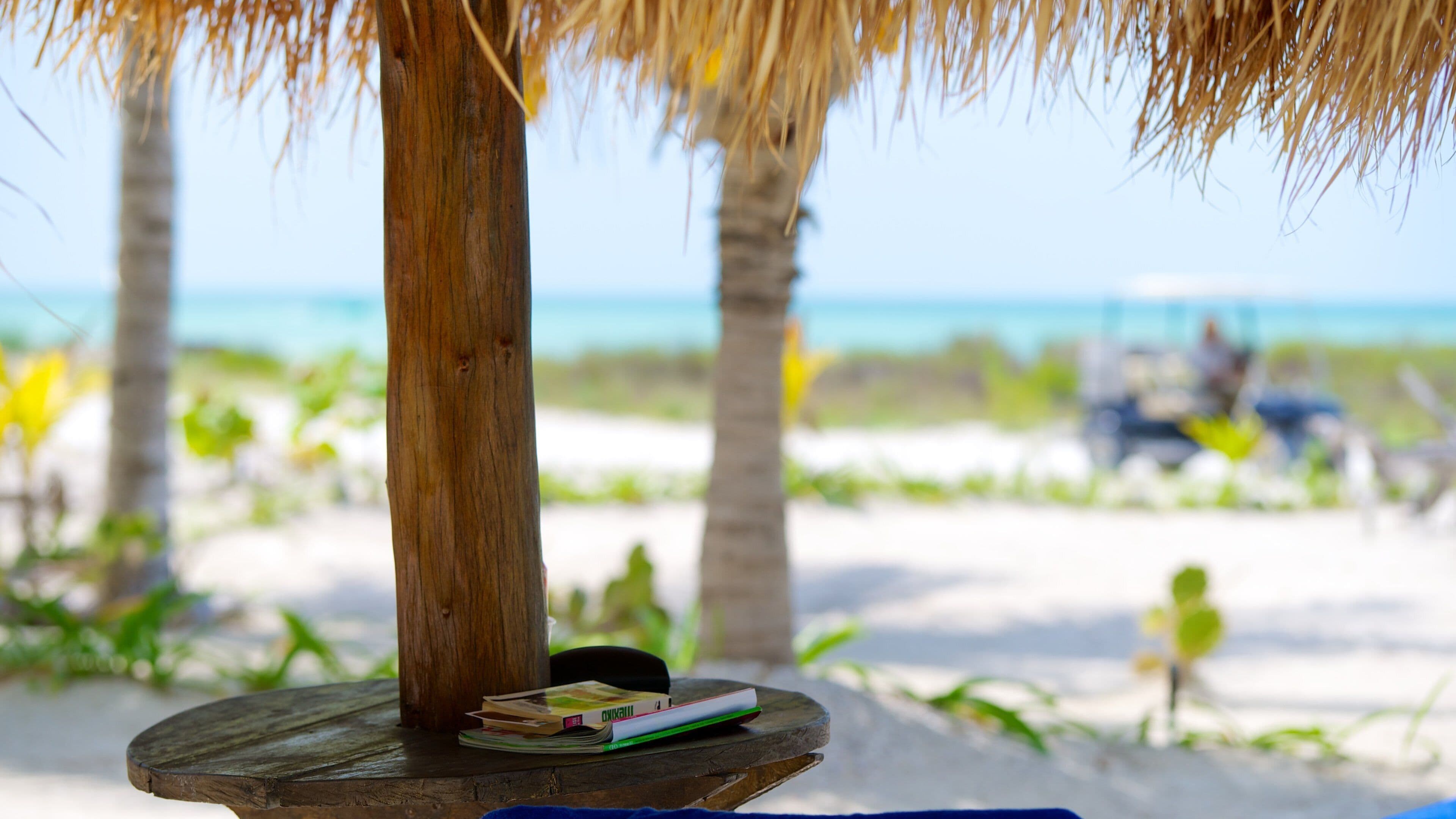 Isla Holbox showing tropical scenes and a beach