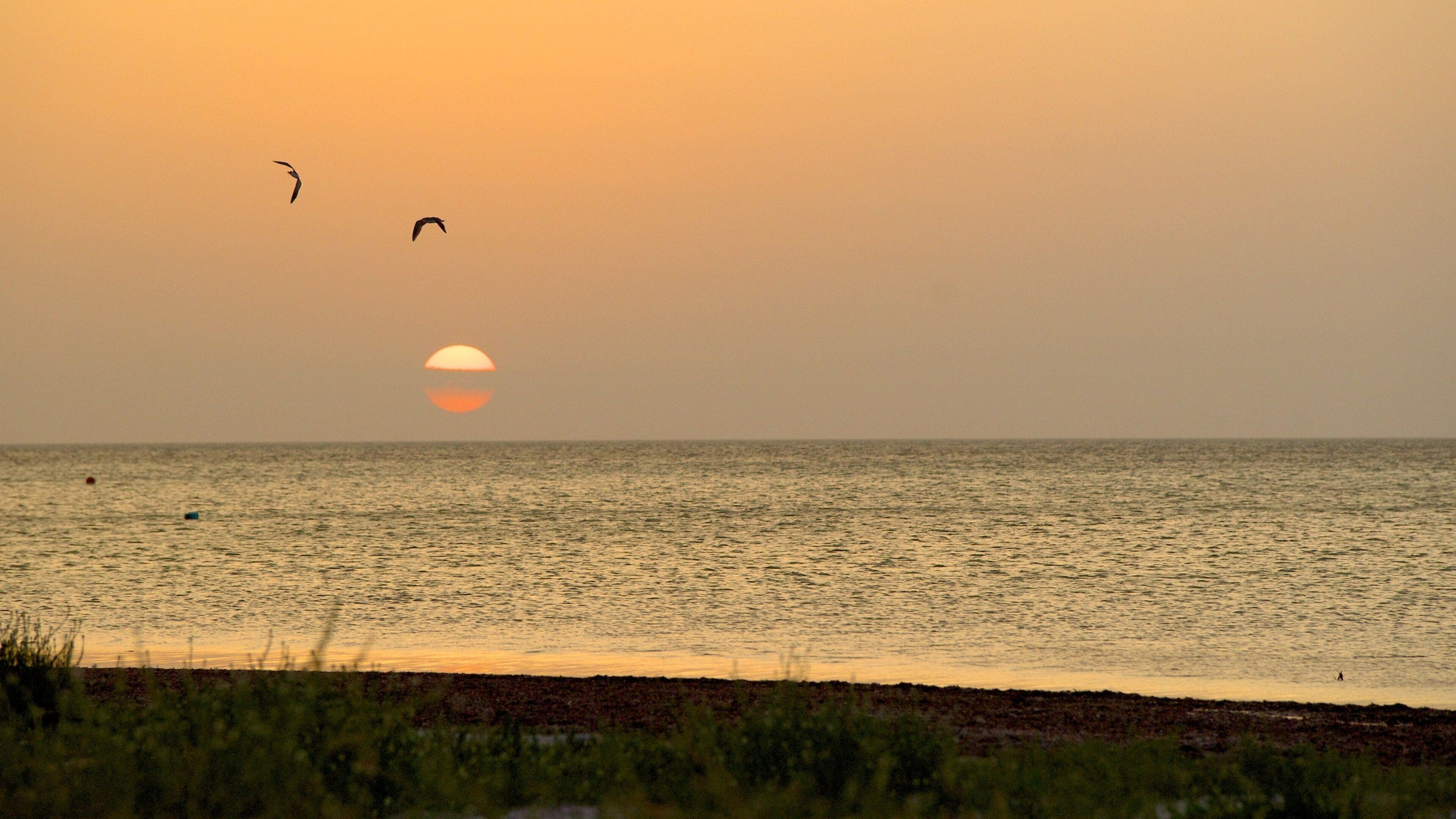Isla Holbox featuring landscape views, general coastal views and a sunset