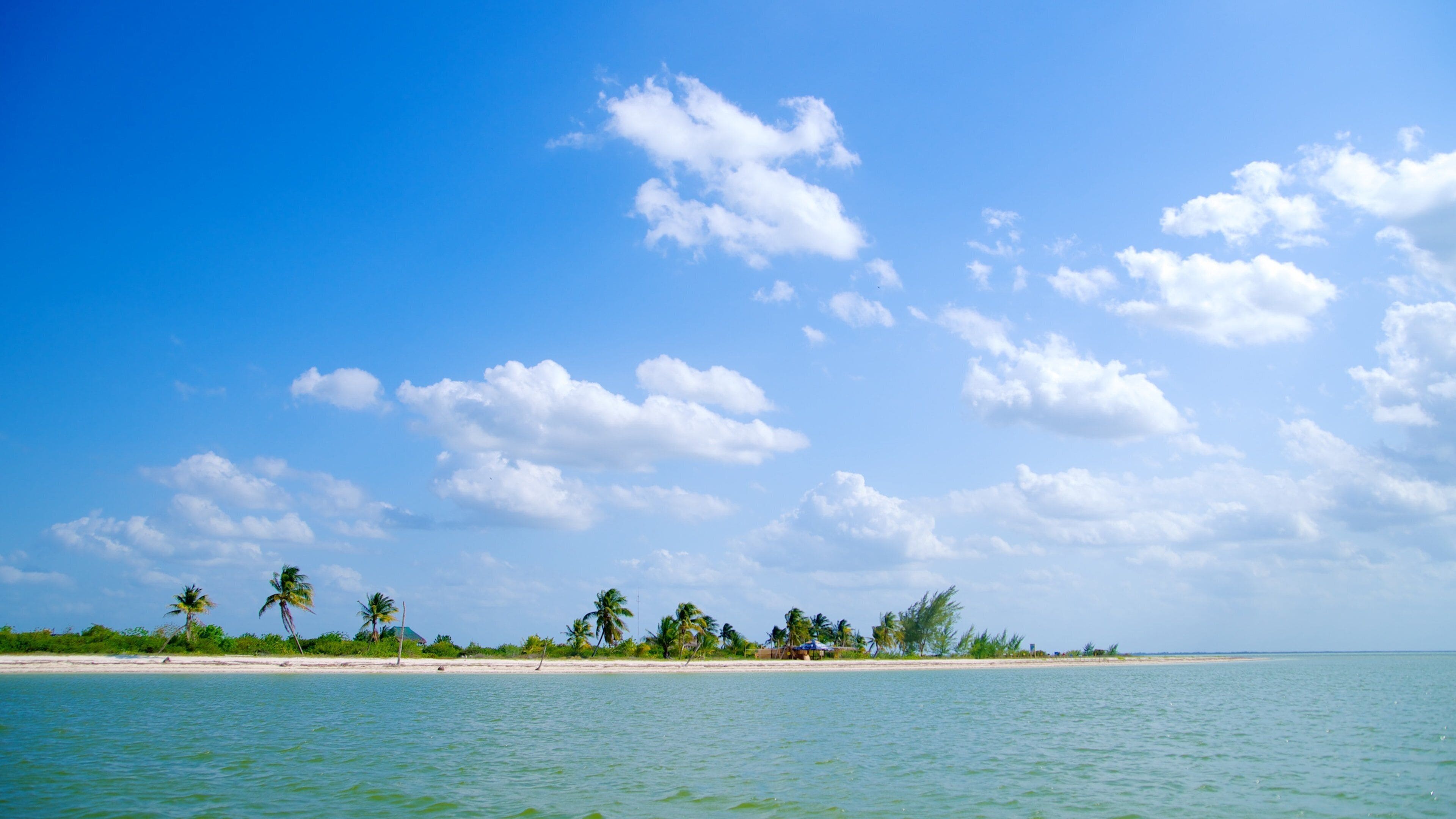 Isla Holbox featuring tropical scenes, island views and landscape views
