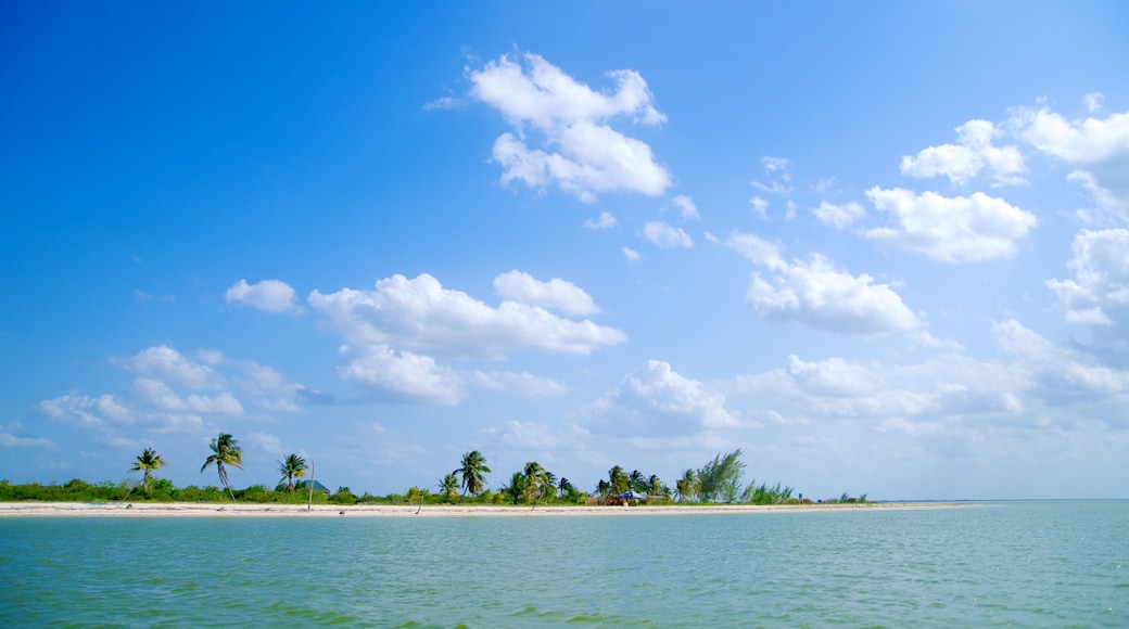 Isla Holbox featuring tropical scenes, island views and landscape views