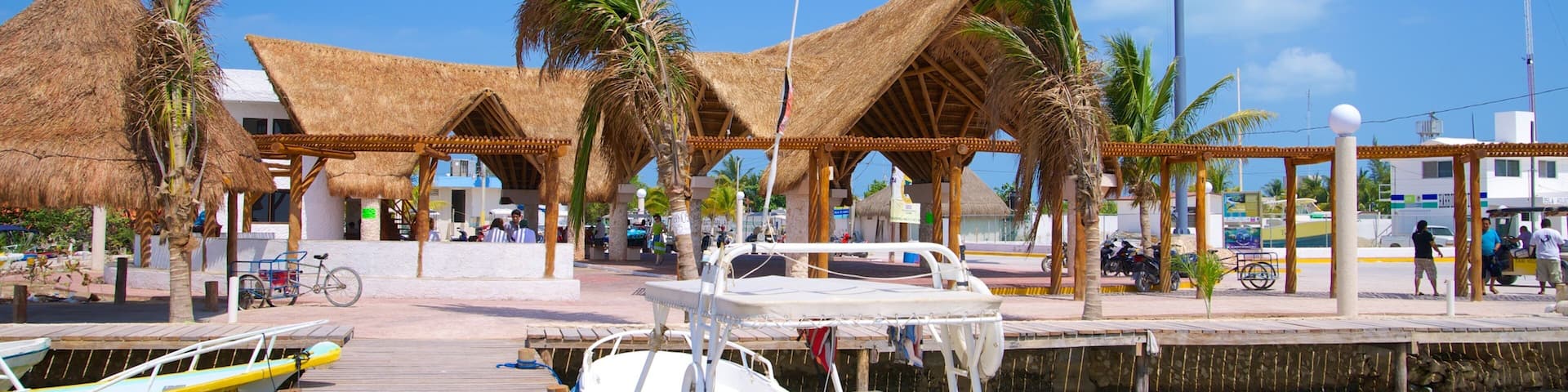 Isla Holbox showing tropical scenes and a marina