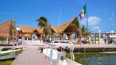 Isla Holbox montrant scĂšnes tropicales et marina