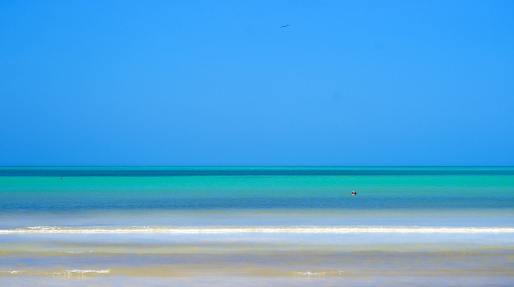 Holbox