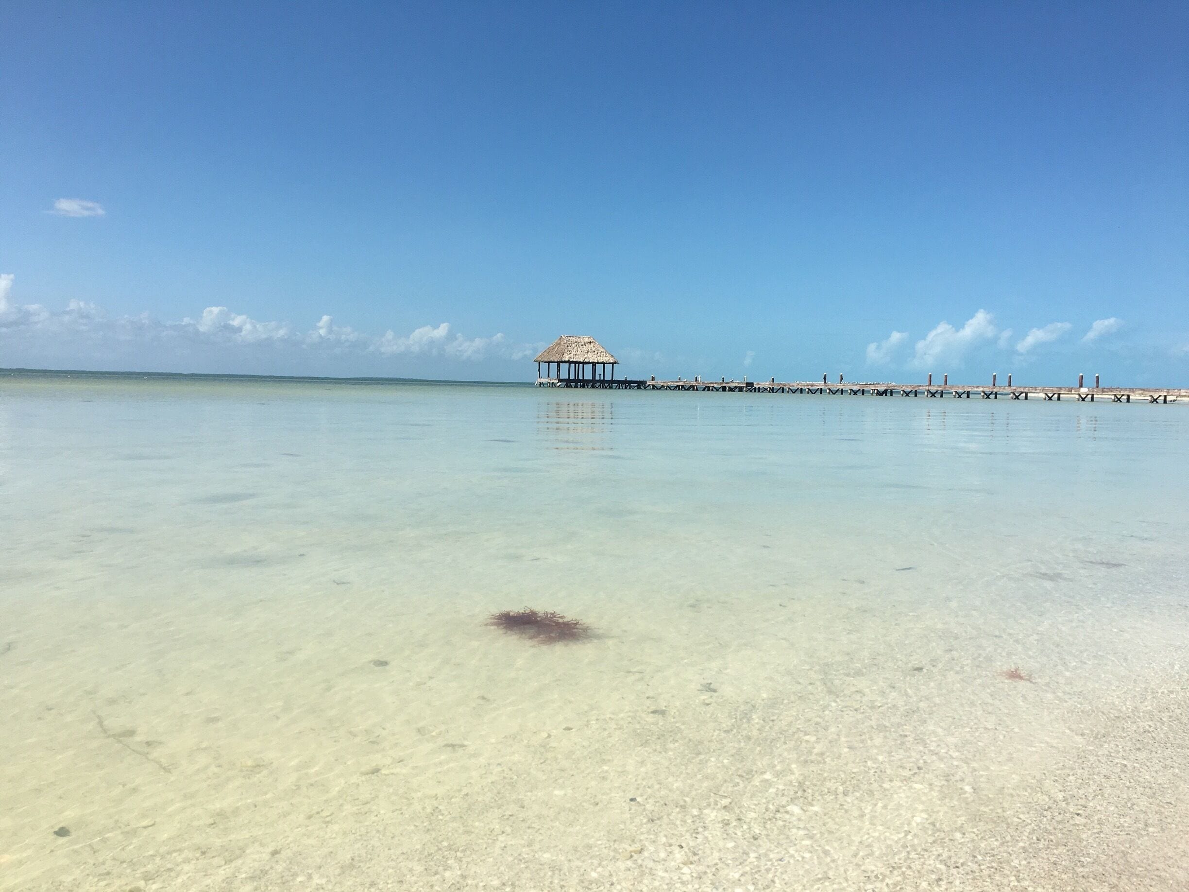 #islaholbox #mexico #lifeatexpedia #paradise