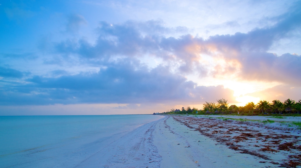 Isla Holbox which includes a sunset, a sandy beach and landscape views