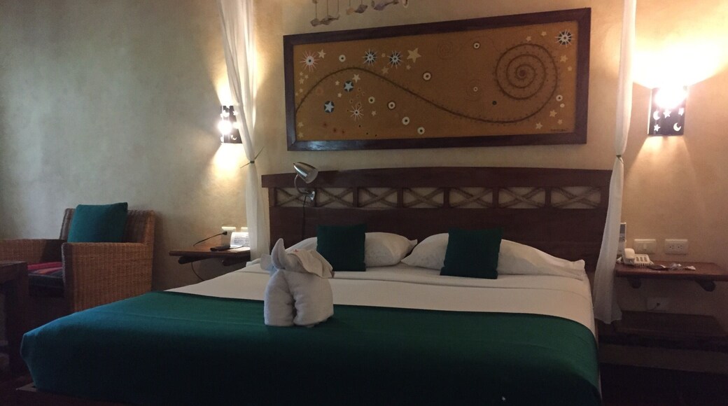 Really enjoying the rooms. Junior suite all inclusive inclusive is the way to go.!