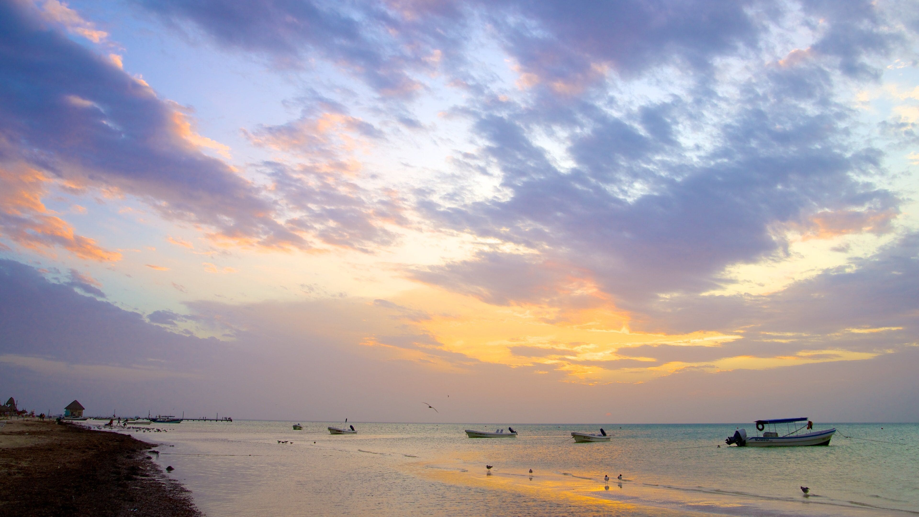 Isla Holbox qui includes coucher de soleil, vues littorales et panoramas